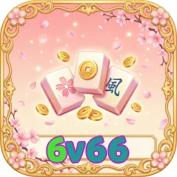 6v66