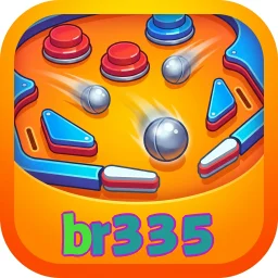 br335
