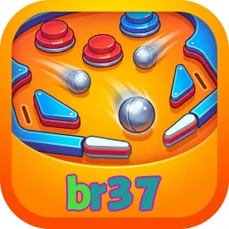 br37