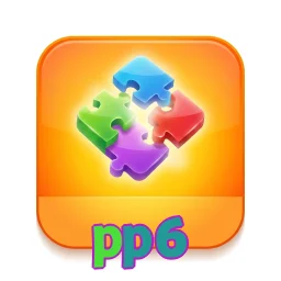 pp6